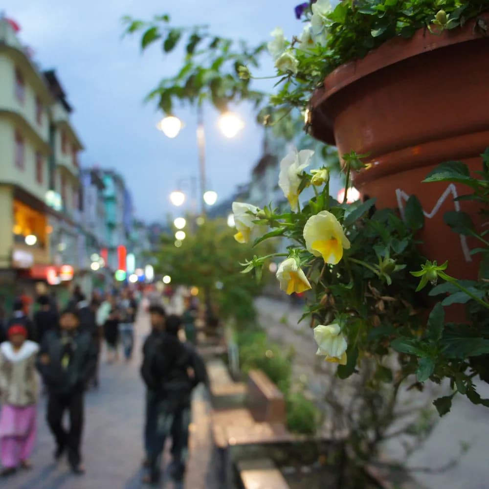 Sikkim Tour 34 - Gangtok Experience - Gallery Image 3