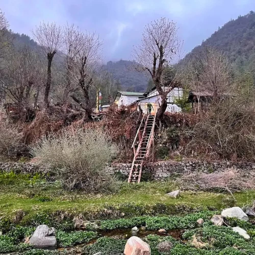 Shergaon to Dirang - Day 2