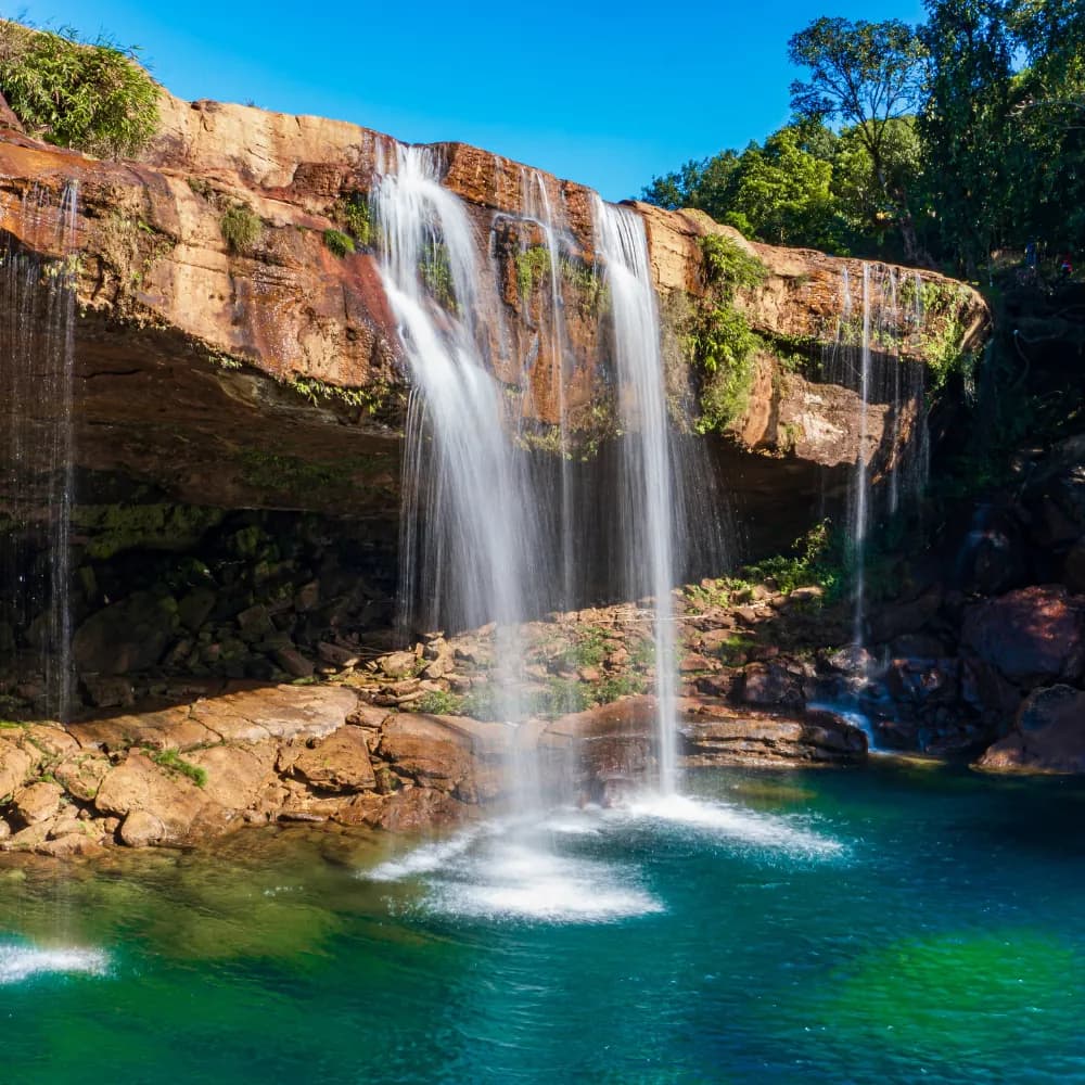 7 Nights 8 Days Meghalaya & Assam Combined Tour - Gallery Image 11